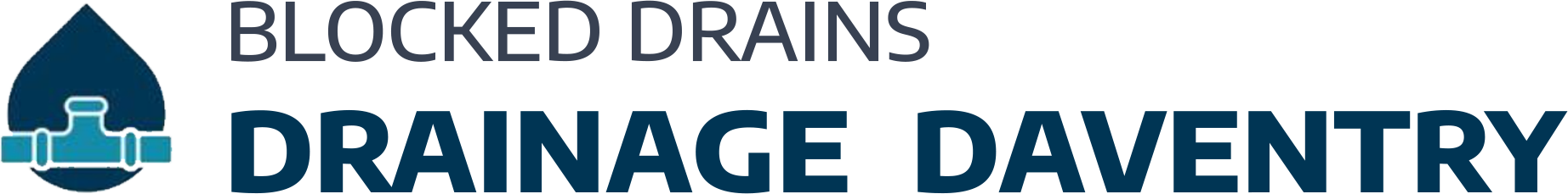 website logo